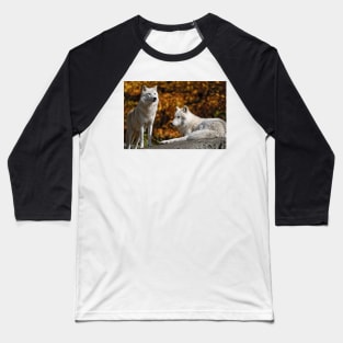 Timber Wolves Baseball T-Shirt